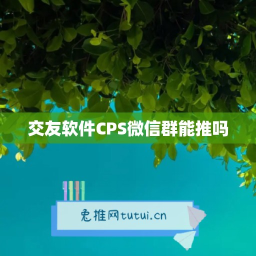 交友软件CPS微信群能推吗