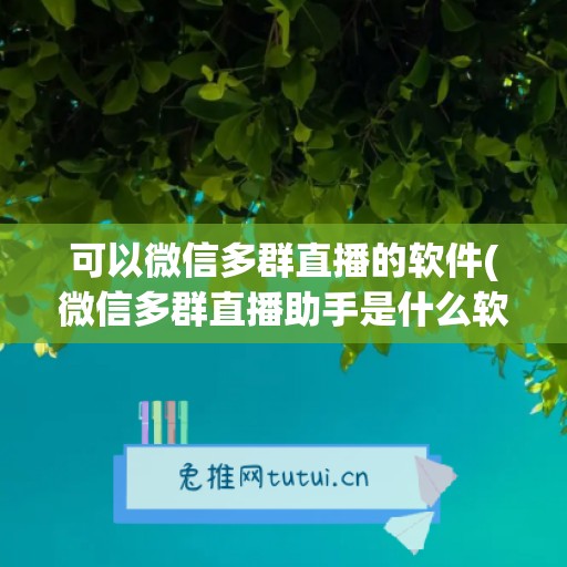 可以微信多群直播的软件(微信多群直播助手是什么软件)