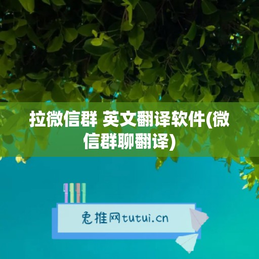 拉微信群 英文翻译软件(微信群聊翻译)