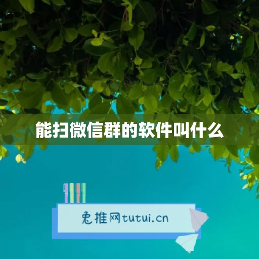 能扫微信群的软件叫什么