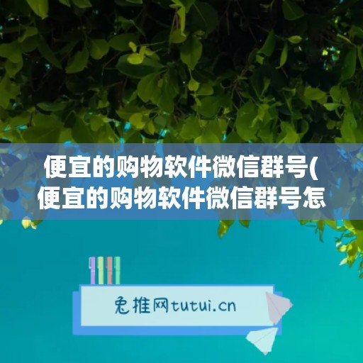 便宜的购物软件微信群号(便宜的购物软件微信群号怎么找)