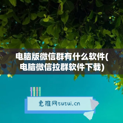 电脑版微信群有什么软件(电脑微信拉群软件下载)