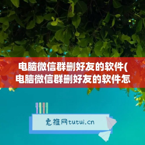 电脑微信群删好友的软件(电脑微信群删好友的软件怎么找回)