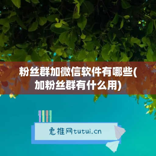 粉丝群加微信软件有哪些(加粉丝群有什么用)