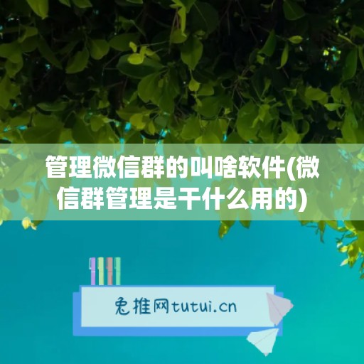 管理微信群的叫啥软件(微信群管理是干什么用的)