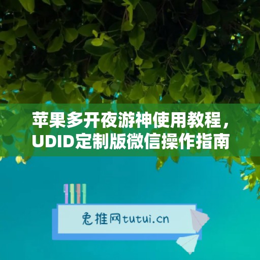苹果多开夜游神使用教程,UDID定制版微信操作指南 苹果多开夜游神使用教程,UDID定制版微信操作指南