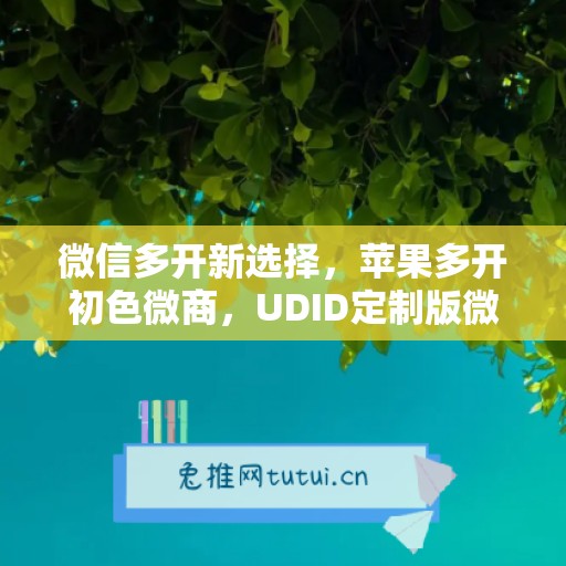 微信多开新选择，苹果多开初色微商，UDID定制版微信更省心