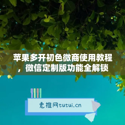 苹果多开初色微商使用教程,微信定制版功能全解锁 苹果多开初色微商使用教程,微信定制版功能全解锁