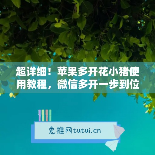 超详细!苹果多开花小猪使用教程,微信多开一步到位 超详细!苹果多开花小猪使用教程,微信多开一步到位