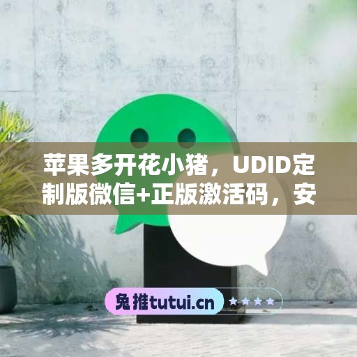 苹果多开花小猪，UDID定制版微信+正版激活码，安全有保障