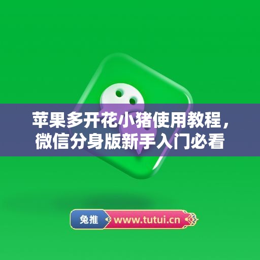 苹果多开花小猪使用教程，微信分身版新手入门必看
