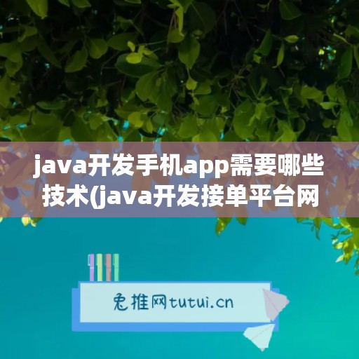 java开发手机app需要哪些技术(java开发接单平台网站)