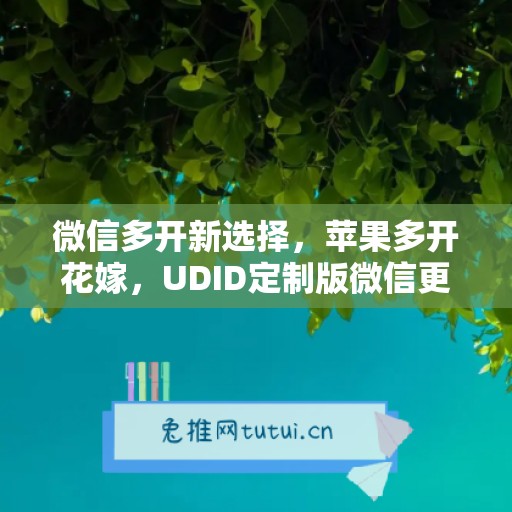 微信多开新选择,苹果多开花嫁,UDID定制版微信更省心 微信多开新选择,苹果多开花嫁,UDID定制版微信更省心