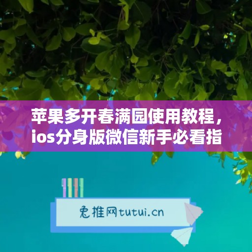 苹果多开春满园使用教程，ios分身版微信新手必看指南