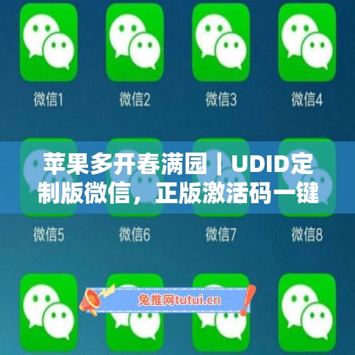 苹果多开春满园｜UDID定制版微信，正版激活码一键申领