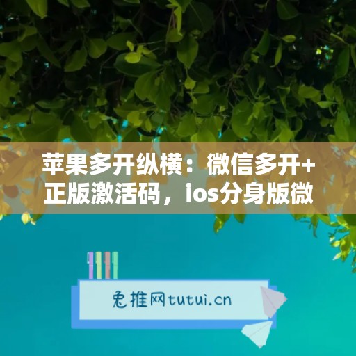苹果多开纵横:微信多开+正版激活码,ios分身版微信首选 苹果多开纵横:微信多开+正版激活码,ios分身版微信首选