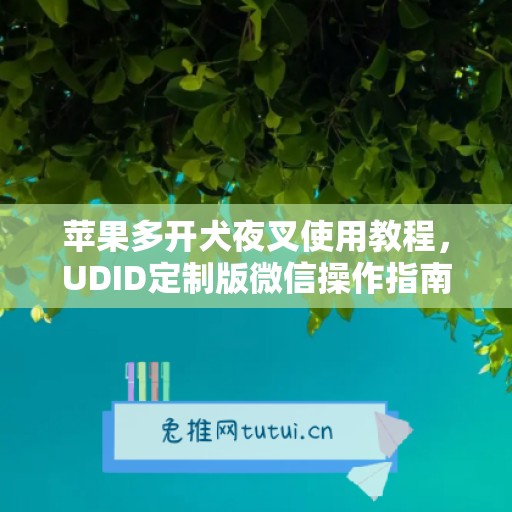 苹果多开犬夜叉使用教程,UDID定制版微信操作指南 苹果多开犬夜叉使用教程,UDID定制版微信操作指南