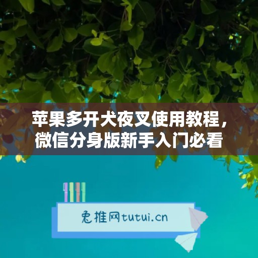 苹果多开犬夜叉使用教程，微信分身版新手入门必看