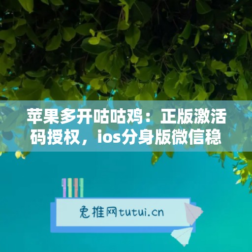 苹果多开咕咕鸡：正版激活码授权，ios分身版微信稳定运行