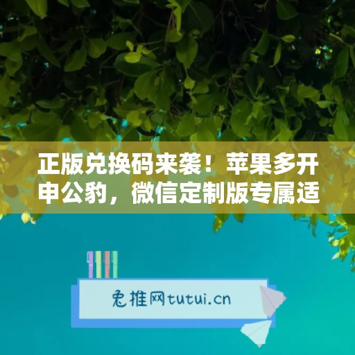 正版兑换码来袭！苹果多开申公豹，微信定制版专属适配