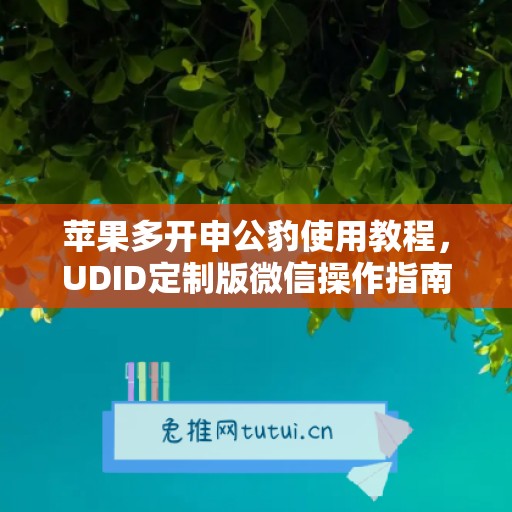 苹果多开申公豹使用教程，UDID定制版微信操作指南