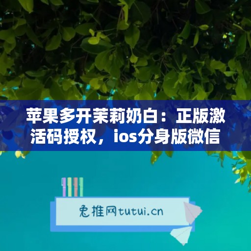 苹果多开茉莉奶白：正版激活码授权，ios分身版微信稳定运行