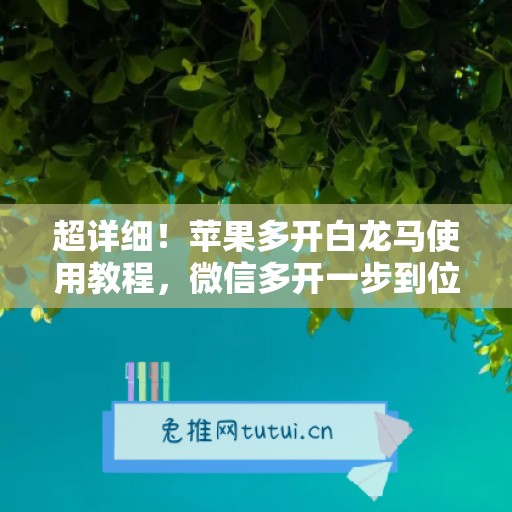 超详细！苹果多开白龙马使用教程，微信多开一步到位