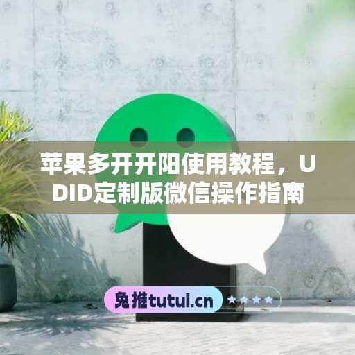 苹果多开开阳使用教程，UDID定制版微信操作指南