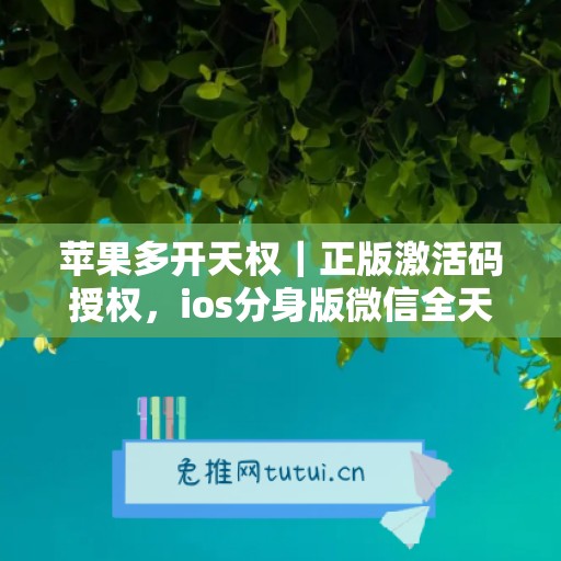 苹果多开天权｜正版激活码授权，ios分身版微信全天可用