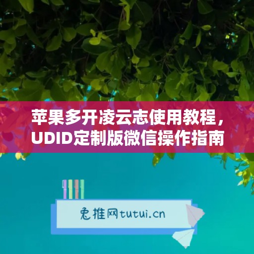 苹果多开凌云志使用教程，UDID定制版微信操作指南