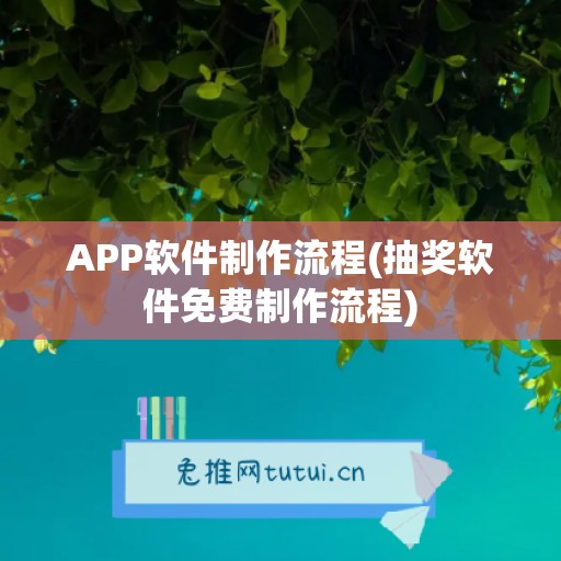 APP软件制作流程(抽奖软件免费制作流程)