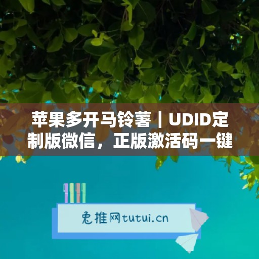 苹果多开马铃薯｜UDID定制版微信，正版激活码一键申领