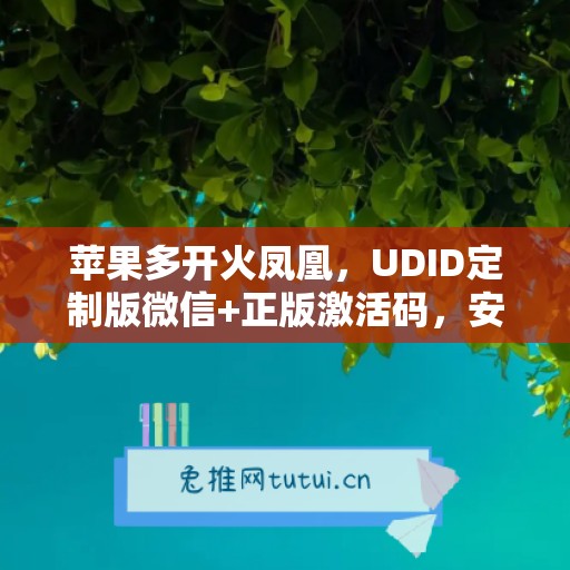 苹果多开火凤凰,UDID定制版微信+正版激活码,安全有保障 苹果多开火凤凰,UDID定制版微信+正版激活码,安全有保障