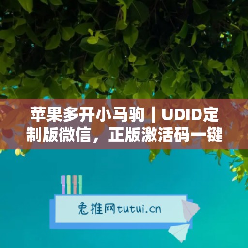 苹果多开小马驹|UDID定制版微信,正版激活码一键申领 苹果多开小马驹|UDID定制版微信,正版激活码一键申领