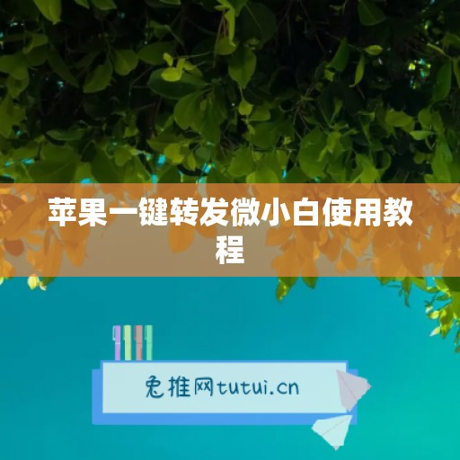 苹果一键转发微小白使用教程