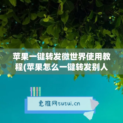 苹果一键转发微世界使用教程(苹果怎么一键转发别人微信朋友圈)