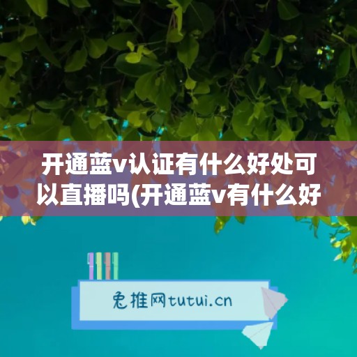 开通蓝v认证有什么好处可以直播吗(开通蓝v有什么好处和坏处)