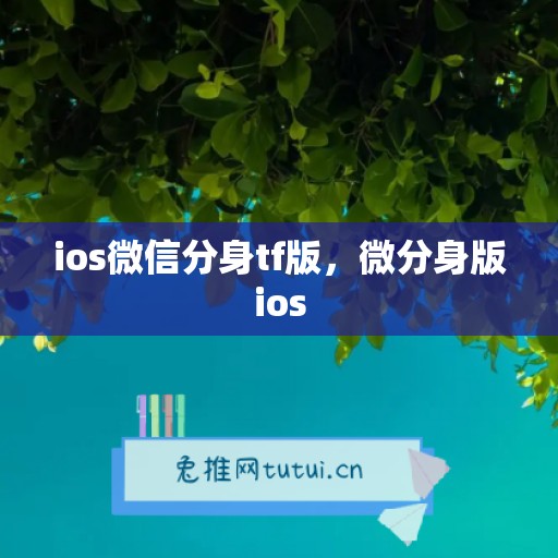 ios微信分身tf版，微分身版ios