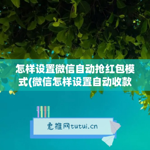 怎样设置微信自动抢红包模式(微信怎样设置自动收款)