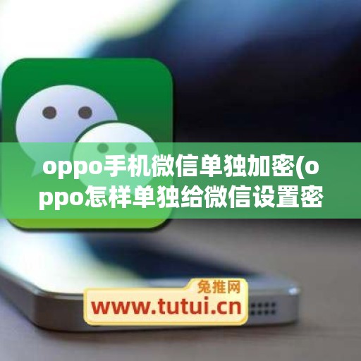 oppo手机微信单独加密(oppo怎样单独给微信设置密码)