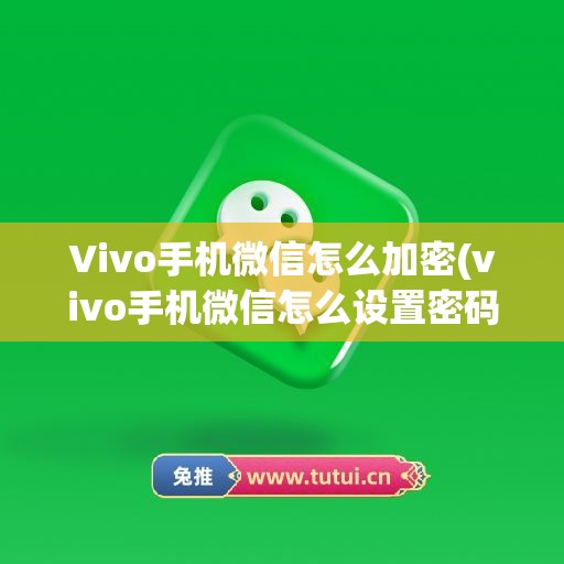 Vivo手机微信怎么加密(vivo手机微信怎么设置密码锁屏)