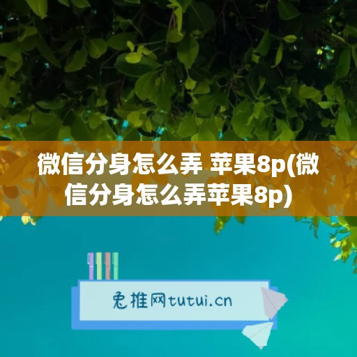 微信分身怎么弄 苹果8p(微信分身怎么弄苹果8p)