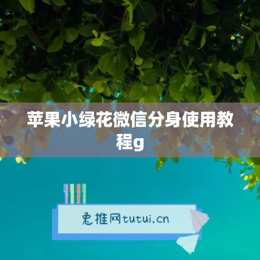 苹果小绿花微信分身使用教程g