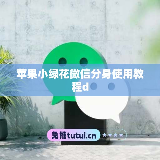 苹果小绿花微信分身使用教程d