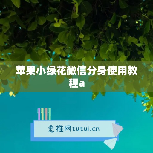 苹果小绿花微信分身使用教程a