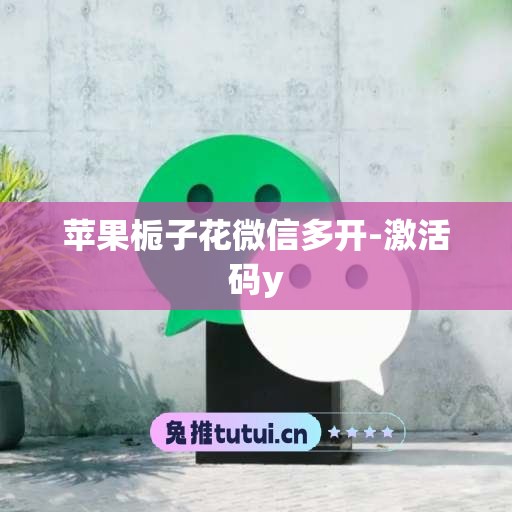 苹果栀子花微信多开-激活码y