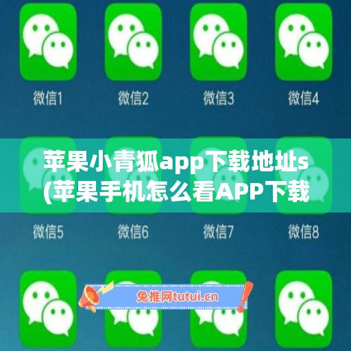 苹果小青狐app下载地址s(苹果手机怎么看APP下载地址)