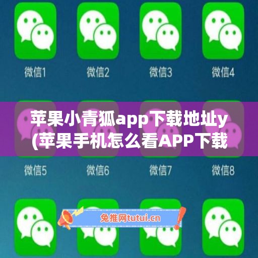 苹果小青狐app下载地址y(苹果手机怎么看APP下载地址)