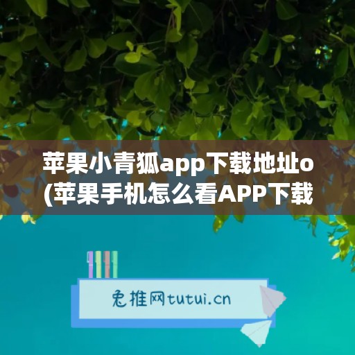 苹果小青狐app下载地址o(苹果手机怎么看APP下载地址)