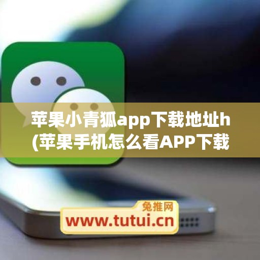 苹果小青狐app下载地址h(苹果手机怎么看APP下载地址)